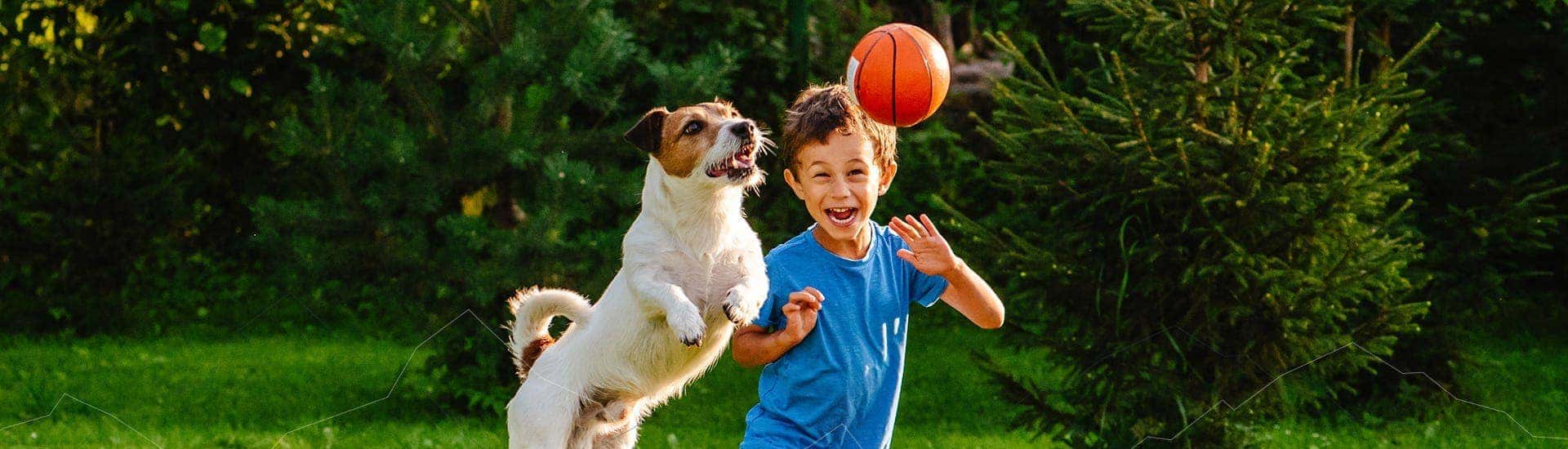boy with ball and dog